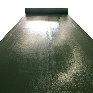 <span class=keywords><strong>Rosso</strong></span>, Verde, Grigio, <span class=keywords><strong>Nero</strong></span> <span class=keywords><strong>Tappeto</strong></span> Mostra con Pellicola di Plastica per il Corridoio di Mostra, Fiera, Eventi - Product Image 1