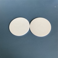 Disque filtrant en céramique à taille de pores personnalisée 50-800 nm, 1 µm, 2 µm, 3 µm, plaque filtrante en céramique poreuse, membrane céramique plate pour usage en laboratoire