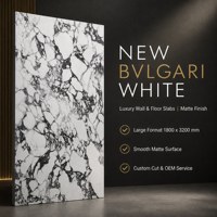 Dalle de pierre frittée mate blanche avec veine noire pour comptoir, mur, chambre, projets d'intérieur commercial, garantie