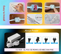 Lumières LED RGB pour avant-toits DC220V, étanches IP67, contrôlables par application, multicolores, modernes, éclairage ponctuel extérieur permanent, vente chaude