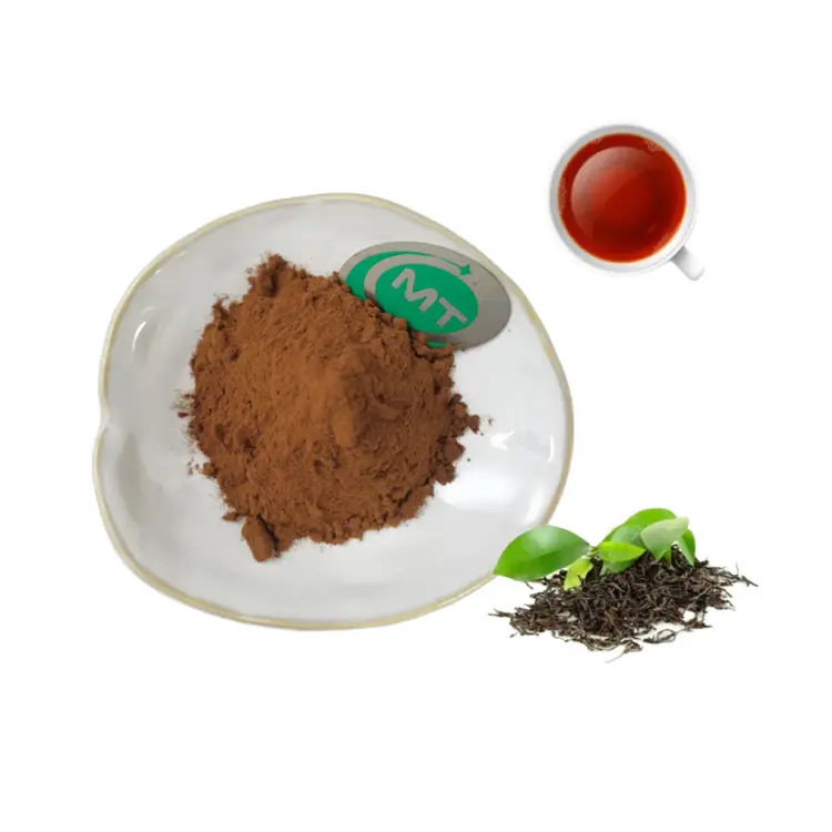 Free Sample Food Grade Factory Supply Organic Theaflavin instant Polyphenols black tea extract