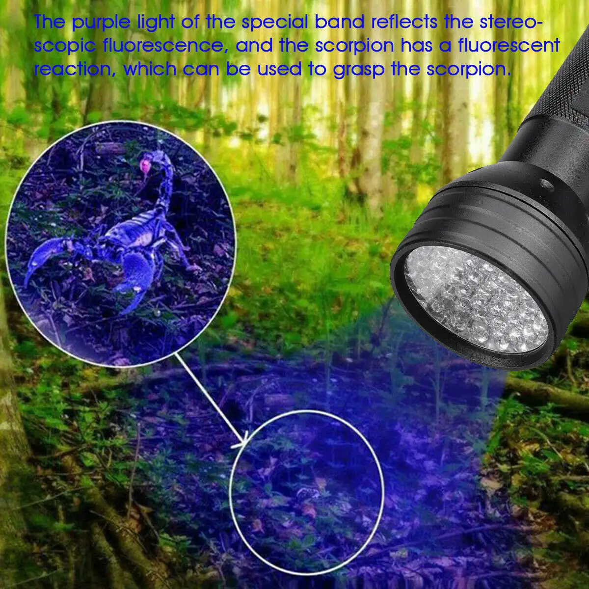 Hot Sale Purple Light Pet Urine 51 Led UV Detector Flash Light Torchlights 395nm Led UV Ultraviolet Blacklight AAA Battery Power