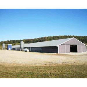 <span class=keywords><strong>Abri</strong></span> étable pour chèvres en acier bon marché structure en acier niche pour chèvres pour moutons - Product Image 4