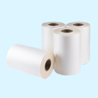 Film d'étiquetage pour bouteilles en papier synthétique BOPP nacré 88mic, facile à découper, sans bouclures, rouleau de base imprimable, largeur personnalisée pour étiquettes