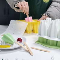Moule en Silicone Qualité Alimentaire pour Sucettes Glacées aux Fruits et Bâtonnets Glacés Maison Forme Cubique