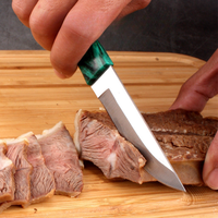 Couteau à viande portatif d'extérieur Barbecue mangeant du boeuf et de l'os d'agneau couteau de coupe acier inoxydable ménage couteaux à steak de fruits