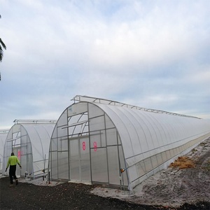 FM Poly Tunnel <span class=keywords><strong>ชั้น</strong></span><span class=keywords><strong>เดียว</strong></span>ป้องกันรังสียูวีโพลีเอทิลีน<span class=keywords><strong>บ้าน</strong></span>พลาสติกสีเขียวเพื่อการเกษตร - Product Image 5