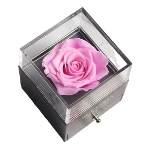 <span class=keywords><strong>La</strong></span> <span class=keywords><strong>Belle</strong></span> <span class=keywords><strong>et</strong></span> <span class=keywords><strong>la</strong></span> Bête <span class=keywords><strong>Rose</strong></span> <span class=keywords><strong>Rouge</strong></span> avec Pétales Tombés dans un Dôme de Verre Anniversaire Noël Saint Valentin Cadeau du Nouvel An Base en Bois - Product Image 5