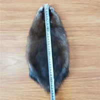 Peaux de fourrure de castor brutes de forme ovale, couleur marron naturel, pour la confection de vêtements - Vente en gros