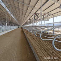 Structure métallique en acier bâtiment préfabriqué poulailler ferme d'élevage de poulets caw acier usine de lait