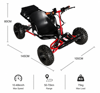 Go Kart Eléctrico de 48V con Control Estable y Alta Velocidad, con Freno de Disco Hidráulico para Carreras Todoterreno