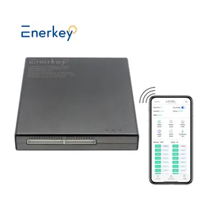 Enerkey OEM New 4A smart active balancer For lithium LTO Lifepo4 Battery Equalization With APP 2-24s active balancer 4a