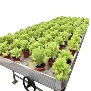 Rolling Tables Ebb and Flow hydroponic systems