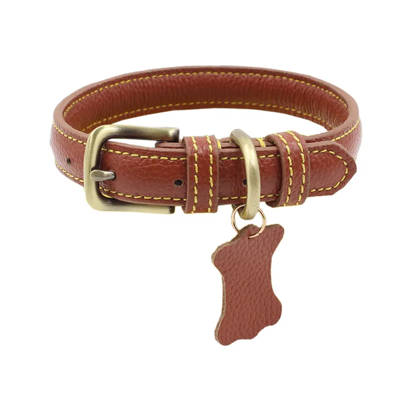 Collier en cuir véritable pour chien, robuste, professionnel, d'entraînement, personnalisé avec étiquette de nom