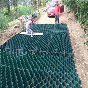Geocell Stützmauern Geocell Gras pflaster hergestellt in China