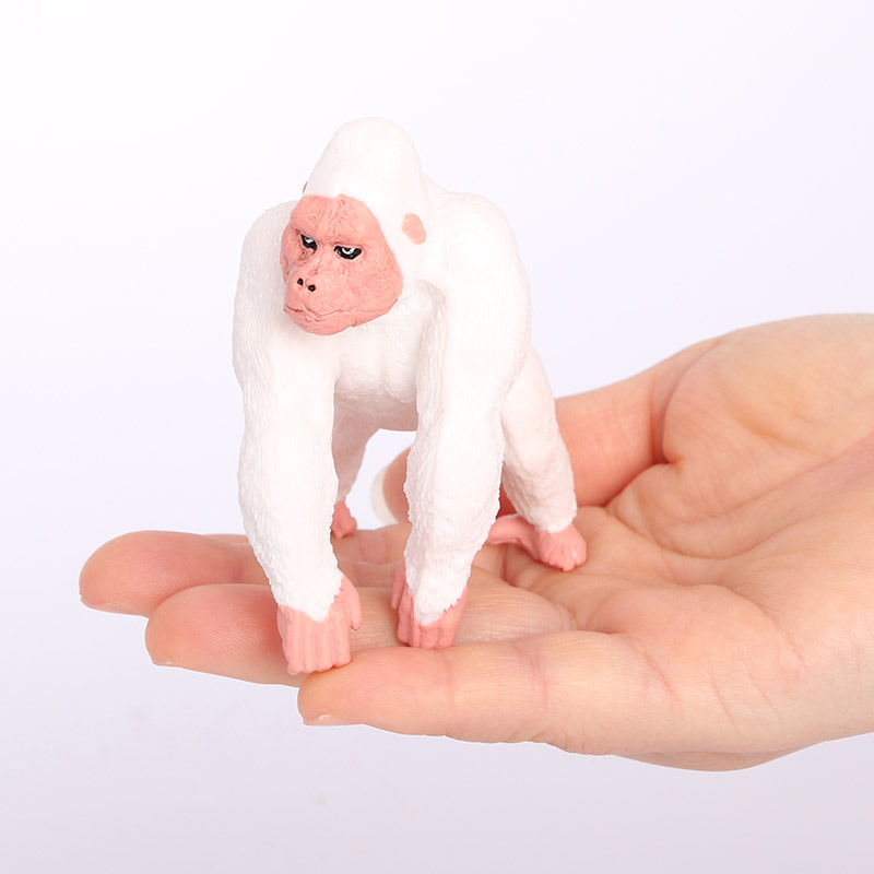 2538 Gorilla bianco