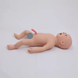 <span class=keywords><strong>Model</strong></span> Pengajaran Medis - <span class=keywords><strong>Model</strong></span> Perawatan Tali Pusat Bayi Baru Lahir dan Intubasi Trakea untuk Bayi Perempuan - <span class=keywords><strong>Model</strong></span> Pelatihan - Product Image 4