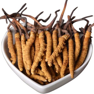 Fornecimento de fábrica Cordyceps de alta qualidade e baixo preço Extrato de Cordyceps Cordyceps Sinensis - Product Image 4