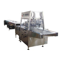 Nouvelle Enrobeuse à Chocolat Jincheng 400/600/800/1200mm pour Biscuits, Lait, Noix, en Acier Inoxydable de Qualité Alimentaire, Garantie 1 An