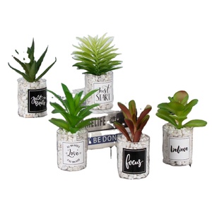 Mini combinaison de plantes en pot artificielles INS vent transfrontalier maison Simulation plante verte succulente petit bonsaï - Product Image 1