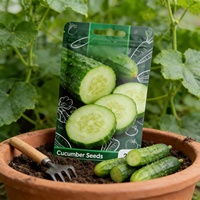 Sachets Doypack en Mylar Recyclable avec Logo Personnalisé Imprimé, Vente en Gros Usine, pour Graines de Tournesol, Légumes, Fruits, Chewing-gum et Gelée
