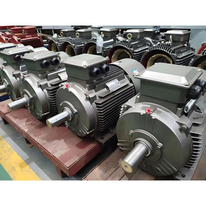 Động cơ điện cảm ứng 18hp <span class=keywords><strong>24hp</strong></span> 3kw 3 pha Ie2 125 kw - Product Image 5