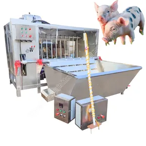 Équipements d'épilation de porcs conception complète d'abattoir de porcs conteneur mobile abattoir de porcs