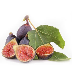 Fig Ficus Carica Extrait de figue commune Poudre PE Ficin Ficus Proteinase Ficin From Figuier Latex Ficus Protease - Product Image 4