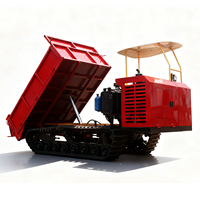 TW-XN China Mini-Raupendumper mit Dieselmotor, Selbstlade-Transporter, 800 kg, Hydraulikhebevorrichtung, Raupenantrieb, CE, 37 kW, Yunnei 490