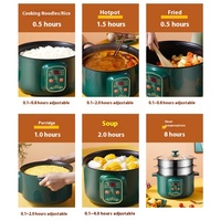 Yolecen fabricant marmite électrique en acier inoxydable pour la cuisson de nouilles bouillie petits appareils ménagers pour bouillon de soupe