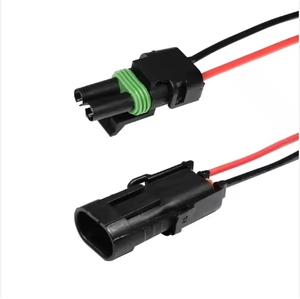 Prix usine 1.5mm série Terminal Pack 2 broches 2 P voiture étanche TE connecteur prise fil connecteur avec câble - Product Image 6