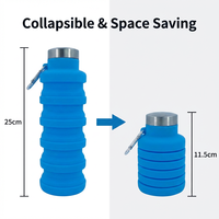 Bouteille d'eau écologique pour la salle de sport, la randonnée, les voyages, les sports, bouteille d'eau en silicone pliable pour adultes, réutilisable