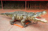 Robot animal crocodile animatronique pour parc aquatique