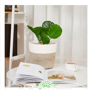 High Quality Decorative Plant Basket Handmade Indoor Garden Large Flower Pots Planters