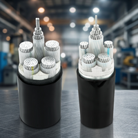 Kabel Daya XLPE Berlapis Baja 3 Inti + 2 Inti Aluminium 3 Fasa Dengan Kawat Netral dan Kawat Pembumian 3*16 50 70 95mm2 untuk Pabrik Pengisi Daya EV