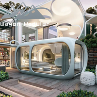 Cabine de jardin préfabriquée Wayon, structure en acier isolée moderne, pour studio de jardin, bord de lac