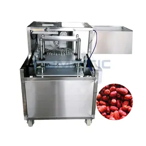 Petite mini machine à enlever les graines de dattes d'olive Roselle Cherry Destemer Pitting Dry Prune Machine pour prune Date Jujube Fruit Sale