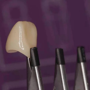 <span class=keywords><strong>Ceramista</strong></span> esagonale morsetti a sei denti per vetri, lotto di porcellana ausiliari strumento di laboratorio tecnico odontotecnico - Product Image 5