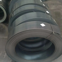 Spring Steel Strip Coil 65Mn for Clock Spring Clutch Plate and Stamping Parts