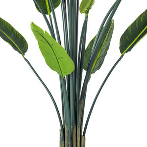 Certificato di alta qualità artificiale uccello del paradiso albero Strelitzia fiore vero tocco fiori di plastica per Hotel all'aperto/ufficio - Product Image 4