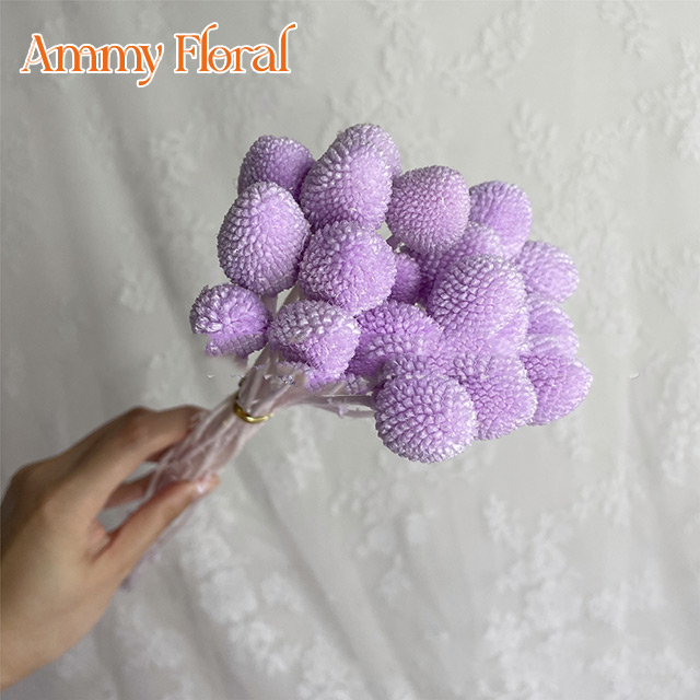 Taro Violet (20 têtes)