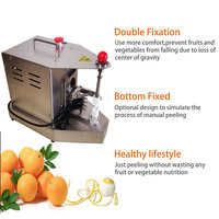 Elektrische Automatische Dunschiller Oranje Appel Mango Fruit Schilmachine