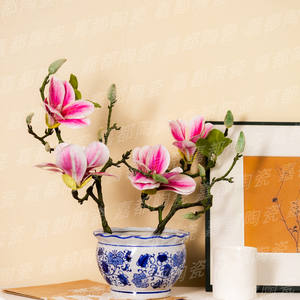 Ensemble de pots en porcelaine bleue et blanche, motif floral et vigne, pots à fleurs ronds en céramique pour bonsaïs et succulentes, décoration intérieure - Product Image 4