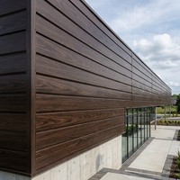 Panneau d'isolation pour toit et mur en métal sculpté imitation bois pour la décoration extérieure de la maison