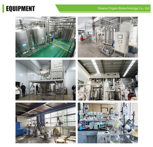 Cung cấp Bưởi chiết xuất từ quả 98% naringin naringin Bưởi chiết xuất hạt - Product Image 4