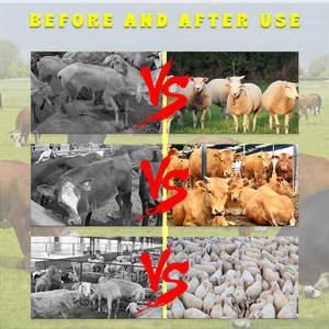 Voederadditief Vitaminen AD3E voor rundvee, schapen en geiten. Vitamine AD3E poeder voor vee. - Product Image 2