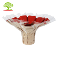 Porte-bouquet en papier pour plantes fraîches et fleurs en pot