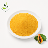 Poudre de jus de papaye naturelle 100% pure, riche en vitamines, pour boissons, smoothies, compléments nutritionnels, produits de santé
