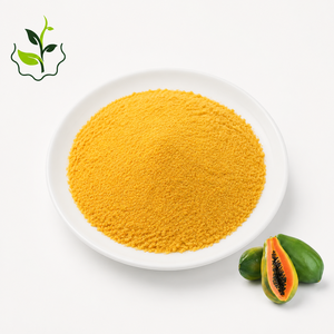 Natural Papaya Juice Powder 100% Pure Fruit Powder Rich in Vitamins for Beverage, <strong>Smoothie</strong>, Nutrition Supplement Health Products - Product Image 2