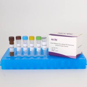 Kit de RT-PCR fluorescent universel pour grippe <span class=keywords><strong>aviaire</strong></span> H5 à double cible | Haute sensibilité pour H5N1/H5N8 et Pan-<span class=keywords><strong>Influenza</strong></span> A - Product Image 3